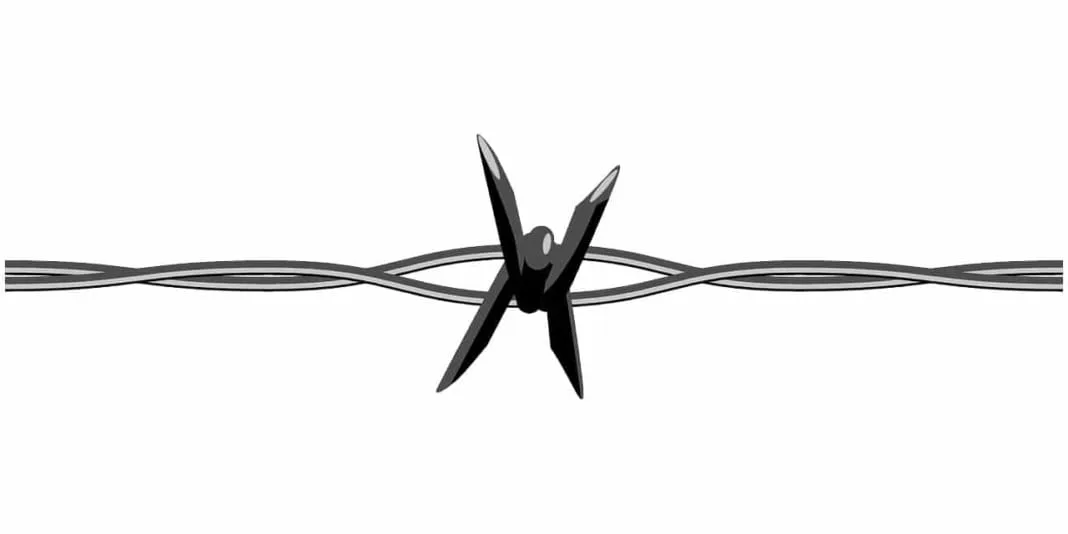 Beeld-Keyvan-Shahbazi-Onruststoker-barbed-wire-146547_1280